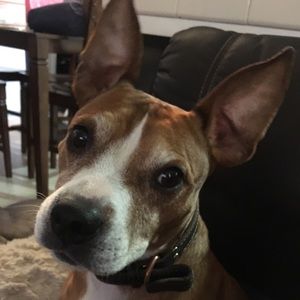 Meet your Posher, Rebecca